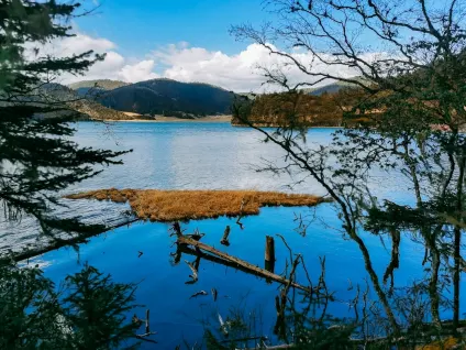 WagonBet Kasino Mobile App